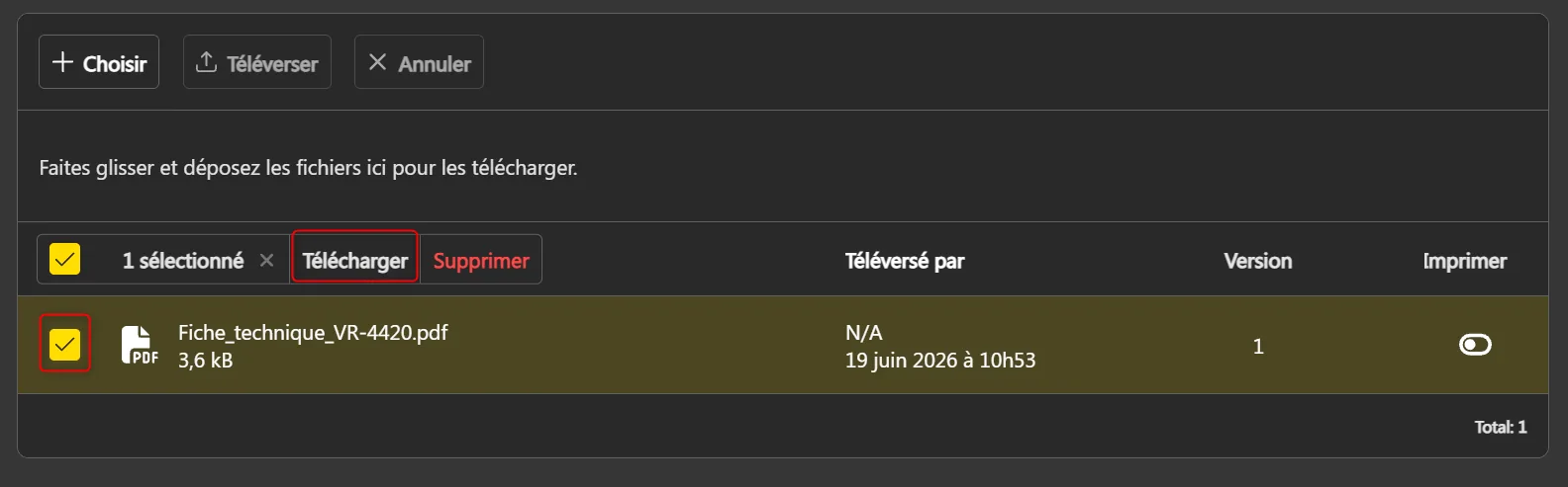Fichier sélectionné avec le bouton Télécharger