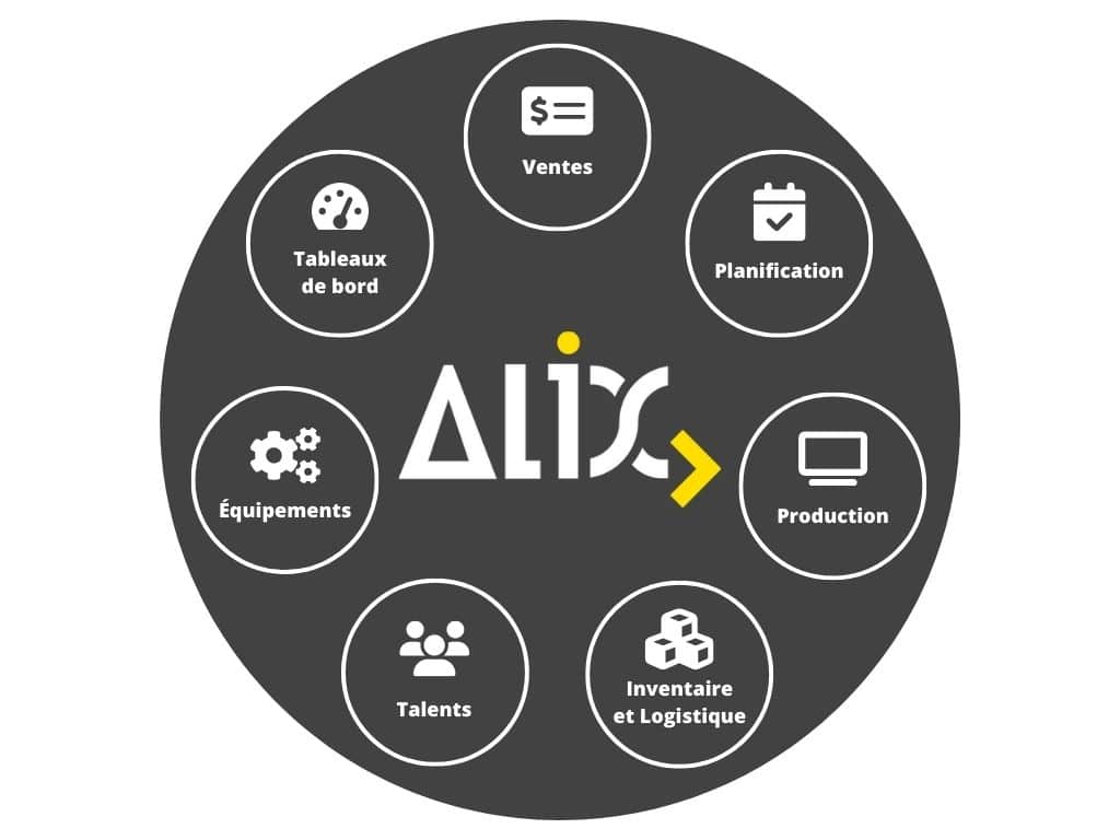 ALIX - Smart Assistant software and its features